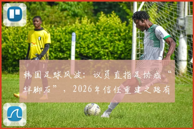 韩国足球风波：议员直指足协成“绊脚石”，2026年信任重建之路有多远？