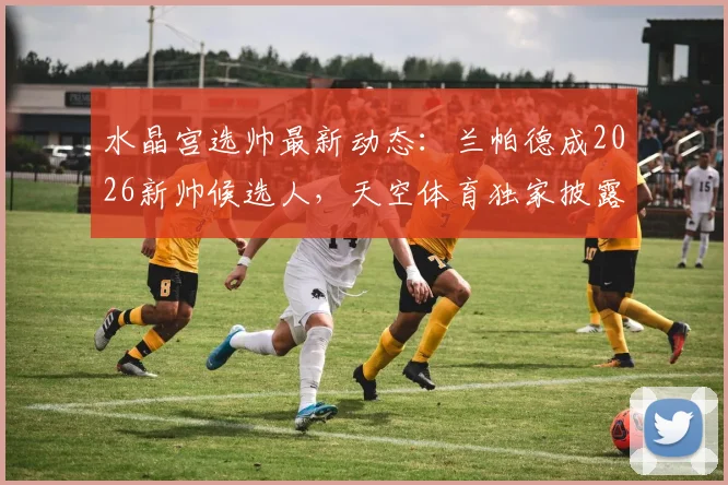 水晶宫选帅最新动态：兰帕德成2026新帅候选人，天空体育独家披露其执教前景与利弊分析